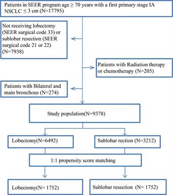 Comparison of Lobectomy and Sublobar Resection for Stage IA Elderly NSCLC Patients (≥70 Years): A Population-Based Propensity Score Matching’s Study